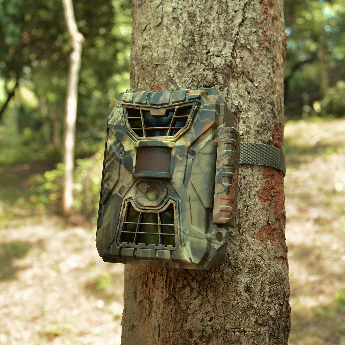 mount winghome trail camera